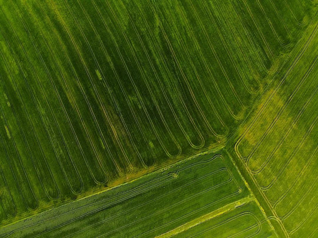 Field-Level Yield Mapping Reveals Where Your Farm Underperforms