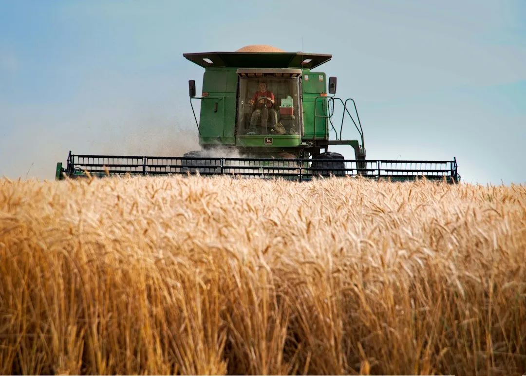 Row crop farmer analyzing commodity price expectation trends on monitoring screen