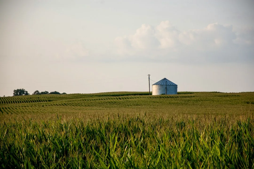 Corn and soybean bins at grain elevator showing price boards