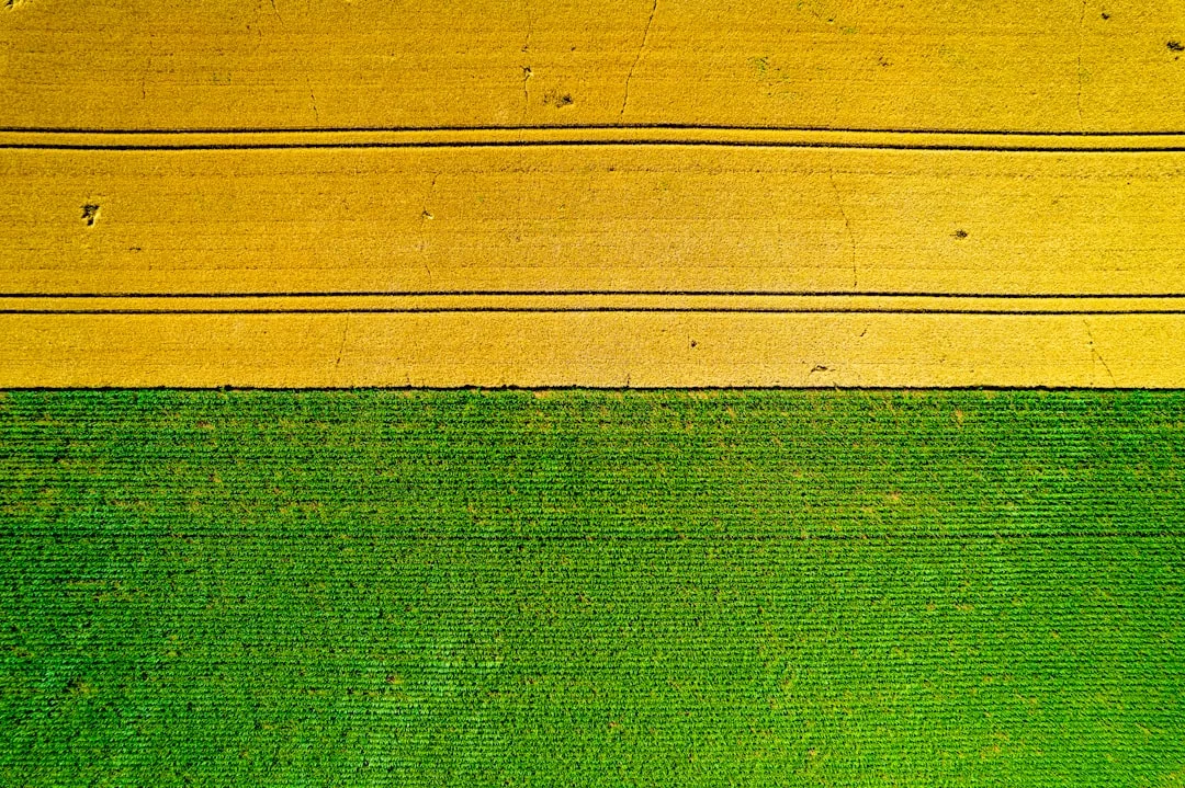 Aerial farm field color-coded yield zones showing productivity variation