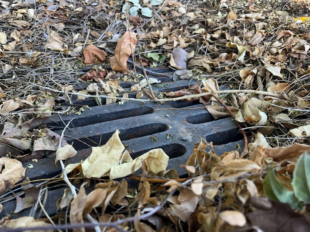 Close-up of subsurface drainage tile layout in field cross-section
