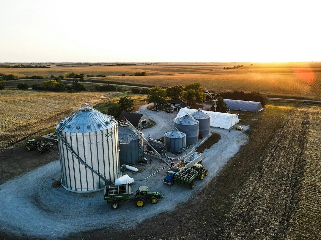 Combine harvesting corn at field edge during optimal merchandising window