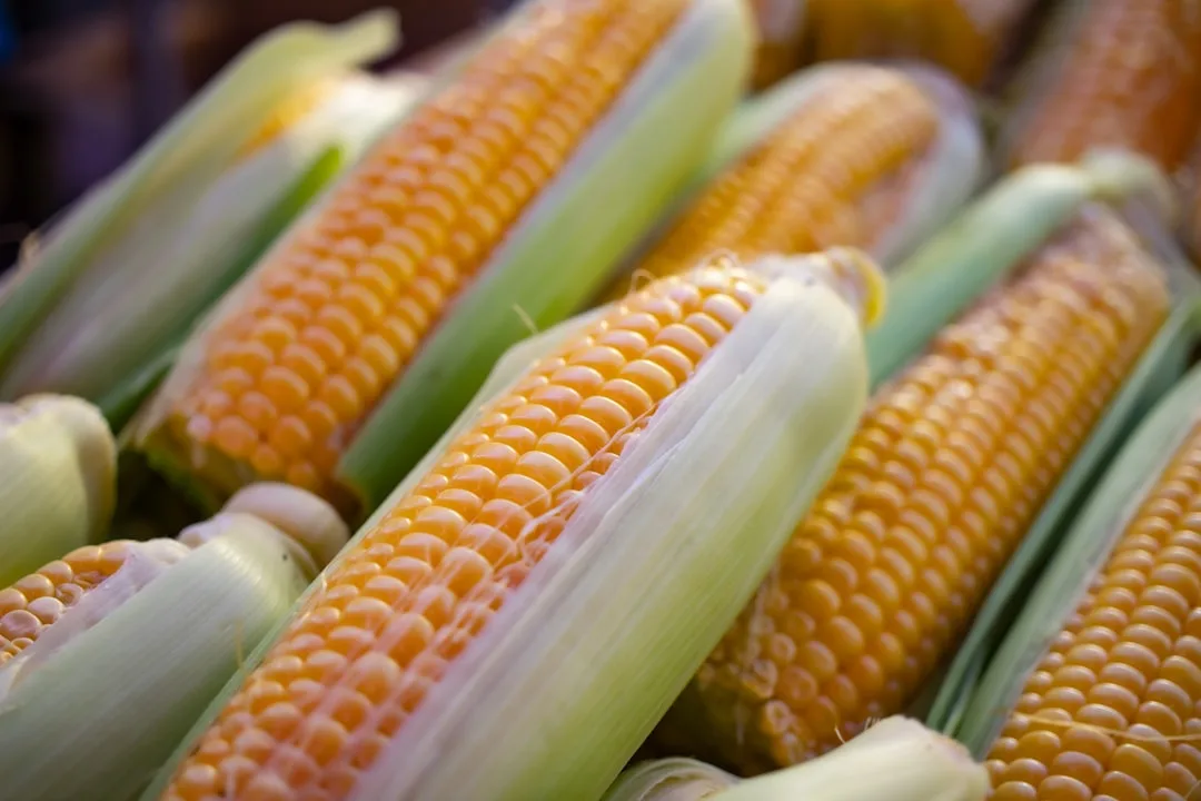Grain elevator commodity price spread mechanics row crops