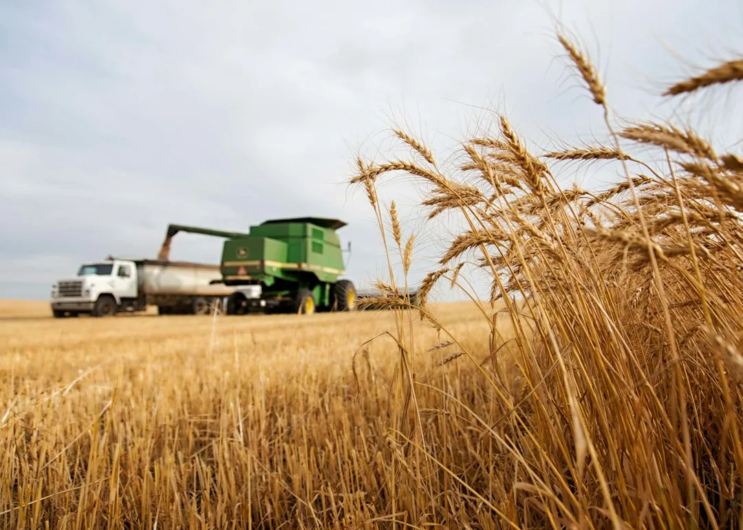 Farmer reviewing crop price expectations on market data chart