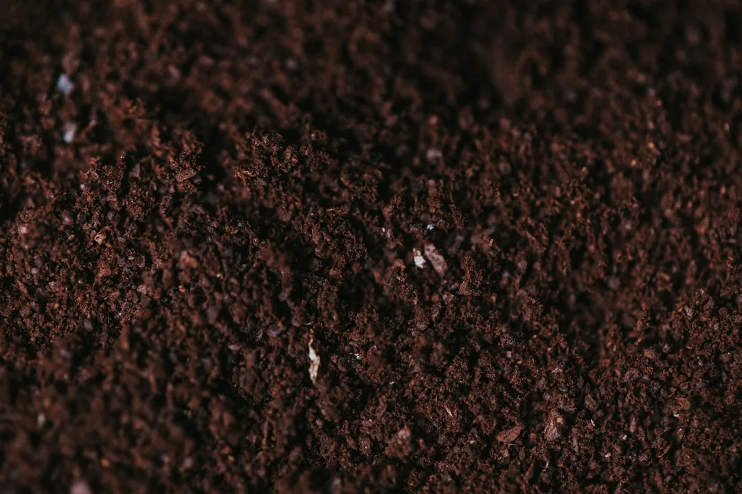 Nitrogen Carryover and Residual Soil Nitrate Reduce Your Yield Potential