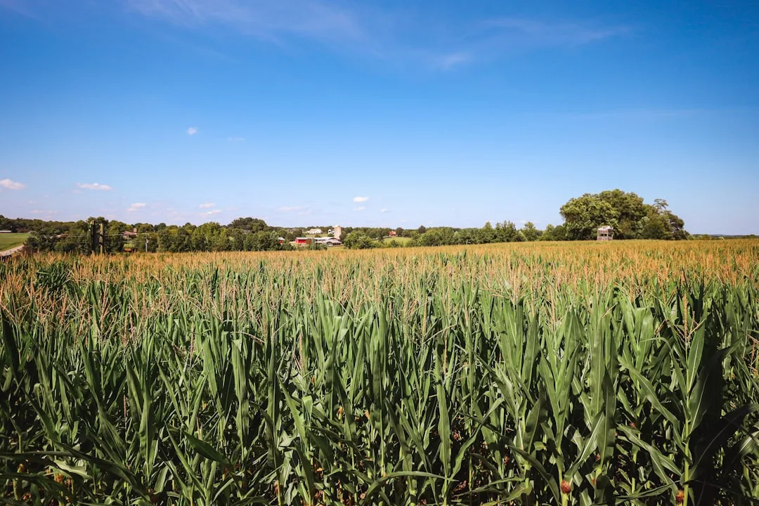 NRCS EQIP cost-share contract showing tier priority levels and practice funding limits