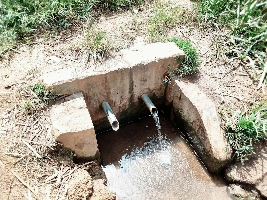 Why Drainage Maintenance Protects Row Crop Yield and Farm Resilience
