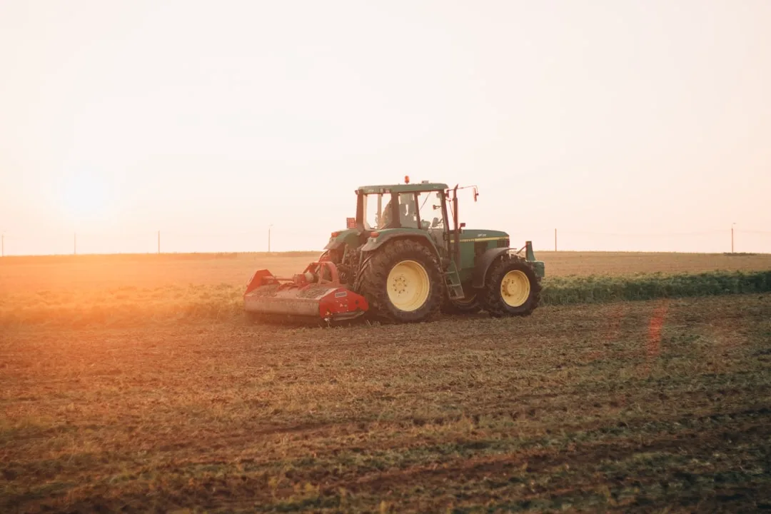 Row crop field with visible yield difference zones caused by soil compaction