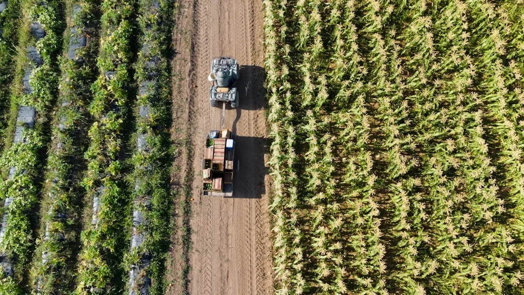 Field-level yield monitor data comparing performance across multiple corn and soybean acres