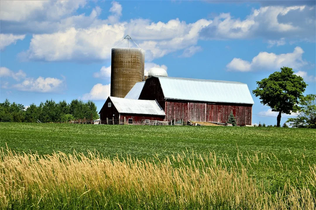 Farm records showing actual production history for crop insurance coverage