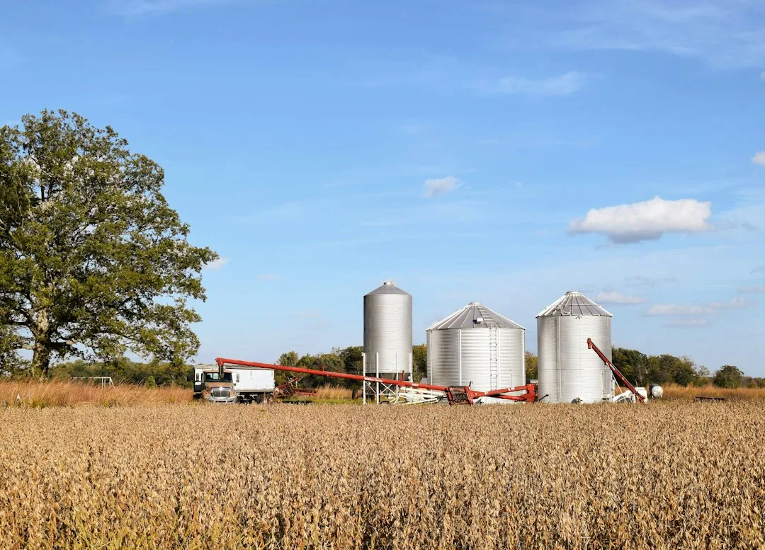 Grain elevator bid board showing basis spread and futures price components